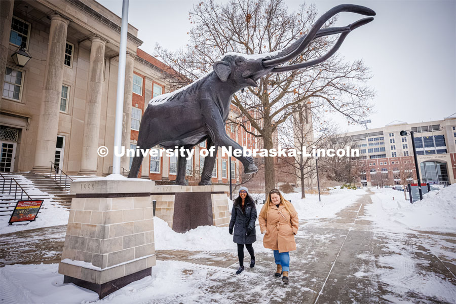 Morrill Hall and state museum for About Lincoln website. January 17, 2024. Photo by Kristen Labadie / University Communication.